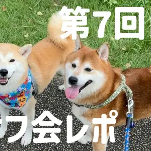 【 オフ会レポ 】総勢26頭大集合!次回オフ会開催日も決定!