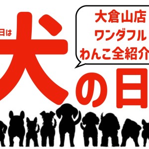 【 犬の日 】11月1日は犬の日!大倉山店のワンダフルわんこをご紹介!!