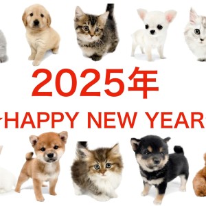 【 新年のご挨拶 】大倉山店より本年もどうぞよろしくお願いいたします!