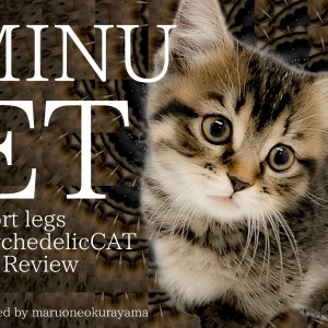 【 ミヌエット 】クールに見えて超甘えっ子!ギャップにやられる短足BOY!