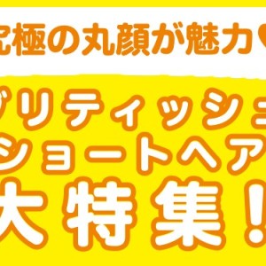 【 ブリティッシュショートヘア特集 】1/23現在在店中の丸顔癒し系最新情報!