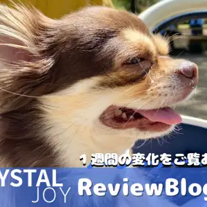【 お知らせ 】スタッフ石原の商品レビュー！CRYSTALJOYで歯を真っ白に！