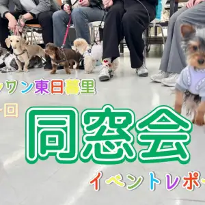 【 イベントレポート 】マルワン東日暮里店にて同窓会イベント開催!