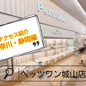 【 ペッツワン城山店 】アクセス紹介!神奈川・静岡編