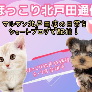 【 ほっこり北戸田通信集 6.7月号 】日々の日常をマルっとまとめました!