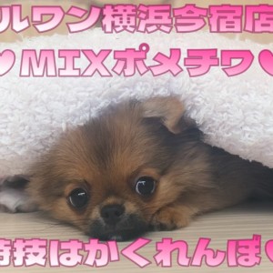 maru-w-neko様　20キロ玄米のまま小分けなし 深様専用 20キロ玄米のまま小分けなし