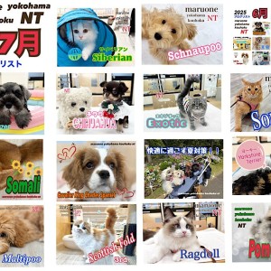 【 ブログリスト 】マルワン港北NT店7月のブログ記事まとめ