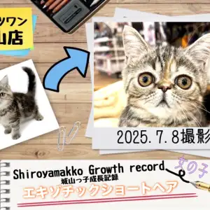 【 エキゾチック 】 城山っ子成長報告！2025年7月9日