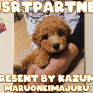 【 ファーストパートナー 】マルワン横浜今宿店スタッフ伊藤の愛犬物語!