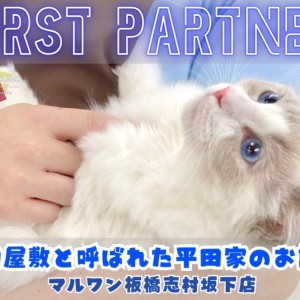 【 ファーストパートナー 】マルワン板橋志村坂下店スタッフ平田の愛猫物語!