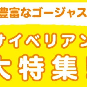 【 サイベリアン特集 】9/18現在在店中のゴージャスにゃんこ!最新動画付き!