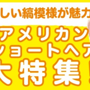 【 アメリカンショートヘア特集 】9/4現在在店中のアメショ特集!最新動画は必見