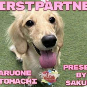 【 ファーストパートナー 】マルワン横浜元町店スタッフ長田の愛犬物語!