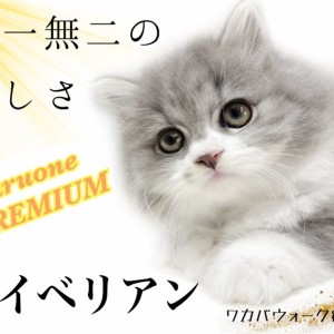 【 サイベリアン 】最高の抱きごごち!ふんわりプレミアムキャット