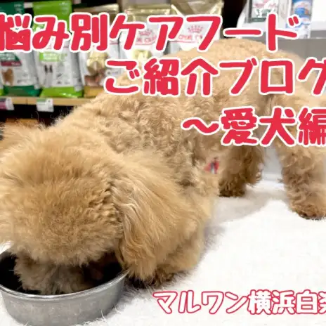 【 商品紹介 】お悩み別ケアフードのご紹介！愛犬編