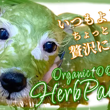 【 トリミング 】いつもよりちょっと贅沢に！ハーブパックをご紹介！