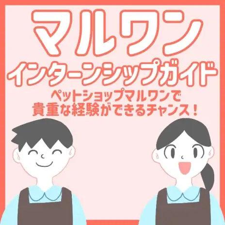 【 インターンシップ募集 】マルワンの次世代を担う熱い人材を求めています