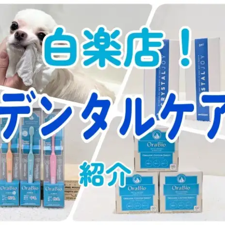 【 トリミング 】愛犬の歯磨きならお任せ！デンタル＆グッズ紹介！