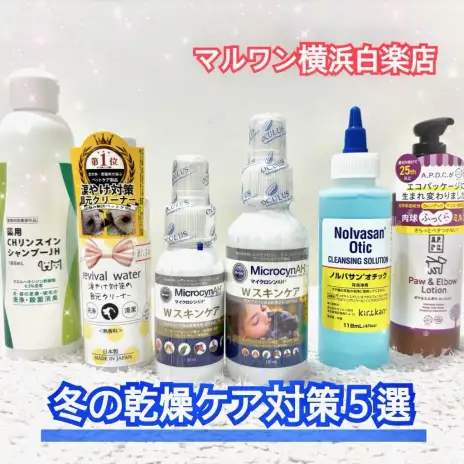 【 商品紹介 】冬の乾燥対策！愛犬の肌トラブルを守るおすすめケア商品5選