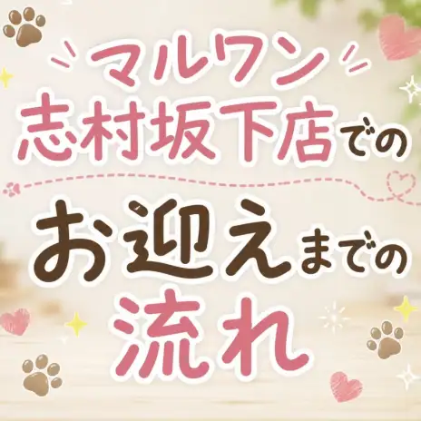【 お迎えまでの流れ 】マルワン志村坂下店で始まる新生活をご紹介いたします！