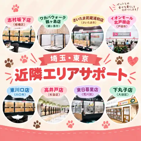 【 お知らせ 】充実のアフターサポート！東京・埼玉の近隣店舗で連携サポート！