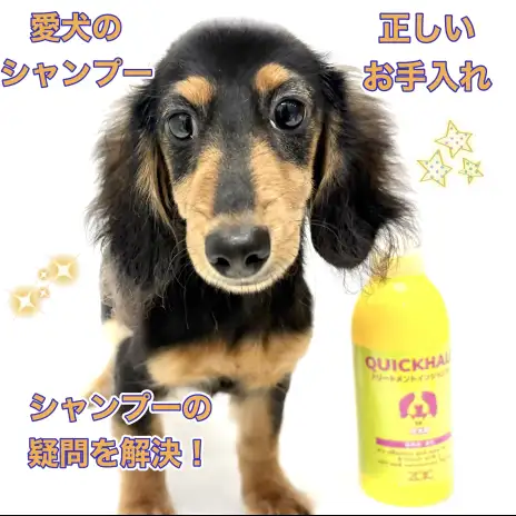 【 愛犬のシャンプー 】東川口店のトリマーが教える正しいお手入れレクチャー
