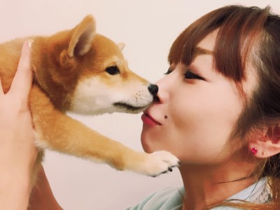 ペットショップスタッフがレビュー！：大倉山店の柴犬マニアが柴犬の魅力を紹介！