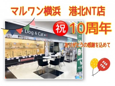 【 イベント情報 】マルワン横浜 港北NT店 皆さまに愛されておかげさまで10周年！