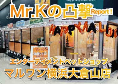 【 マルワン大倉山店のここがすごい 】毎日来ても楽しい店鋪を凸してみた！