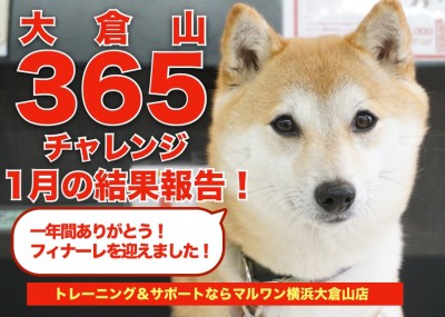 【 大倉山365チャレンジ 】過去最高頭数が遊びに来た1月の結果報告！！