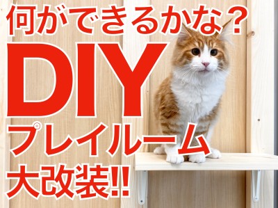 【 DIY 】久しぶりのDIY番長！プレイルーム大改装！！！何ができるかな？？
