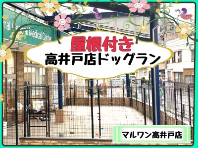 【 マルワン高井戸店 】都内でも数えるほどしかない屋根付きドッグラン