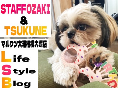 【 スタッフライフブログ 】私の愛犬は相模大塚店の卒業生！共に過ごした1年間！