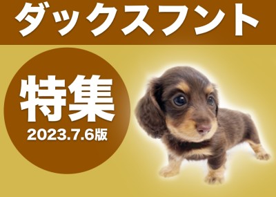 【 ダックスフント特集 】7/6現在在店中の胴長短足の大人気犬種！ダックス特集！