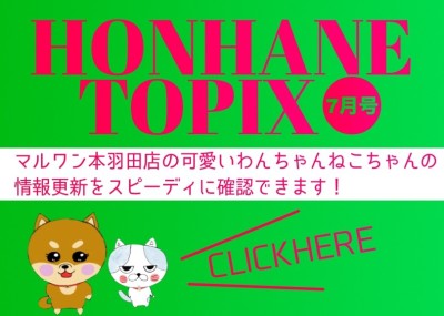 【 HONHANE トピックス7月号 】マルワン本羽田店の7月の情報配信！