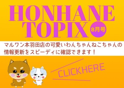 【 HONHANE トピックス8月号 】マルワン本羽田店の8月の情報配信！