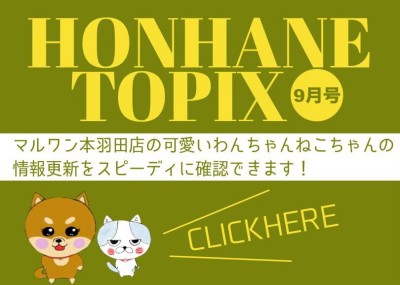 【 HONHANEトピックス9月号 】マルワン本羽田店の9月の情報配信！