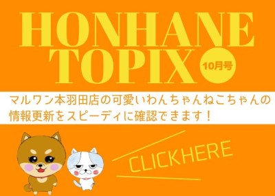 【 HONHANEトピック10月号 】マルワン本羽田店の10月の配信情報！