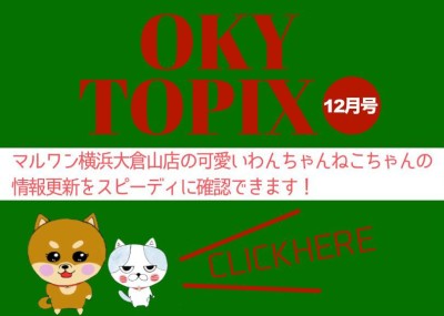 【 OKURAYAMA トピックス12月版】マルワン大倉山店の12月の情報配信を確認！