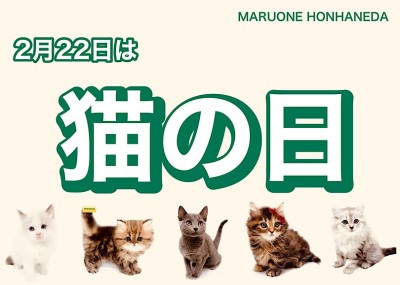 【 猫の日 】2月22日は猫の日！本羽田店の可愛いニャンコ様をご紹介
