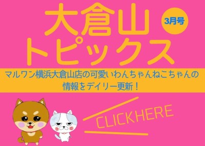 【 OKURAYAMA トピックス3月版】マルワン大倉山店の3月の情報配信を確認！
