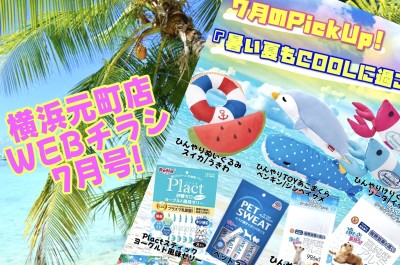 【 商品レビュー 】楽しい夏をCOOLに過ごそう！【WEBチラシ7月号】