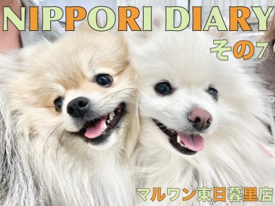 【 NIPPORI DIARY その7 】体脂肪測定会に密着！なぎ＆かおん編