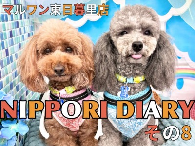 【 NIPPORI DIARY その 】体脂肪測定会に密着！ココ＆ルル編