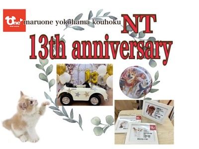 【 お知らせ 】港北NT店13周年イベントやっちゃいます！みんな遊びに来てね！