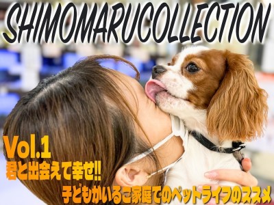 【 シモマルコレクション 】君がいて幸せ！お子様がいるご家庭での犬との接し方