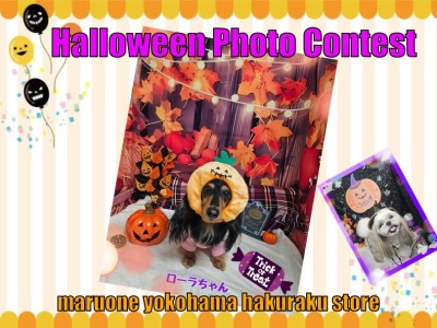 【 お知らせ 】白楽店ハロウィンフォトコンテスト開催！