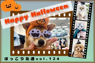 【 ほっこり北通Vol.124 】マルワン北戸田店のハロウィンday！