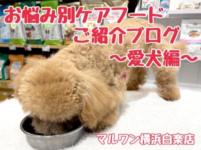 【 商品紹介 】お悩み別ケアフードのご紹介！愛犬編