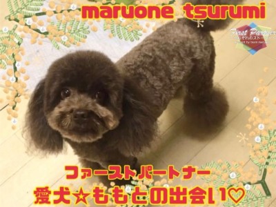 【 ファーストパートナー 】マルワン横浜鶴見店スタッフ梅林の愛犬物語！